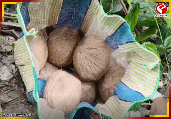 দ্বিতীয় দফার আগে ফের ভাঙড়ে উদ্ধার তাজা বোমা! চাঞ্চল্য এলাকায়