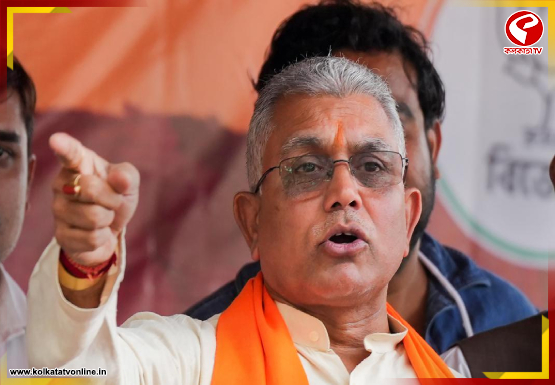 বিরোধী হওয়ার অভ্যেস করছে, তৃণমূলকে তীব্র কটাক্ষ দিলীপ ঘোষ