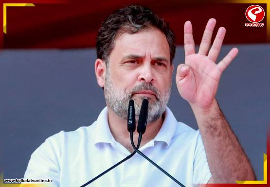‘আর কেউ বিজেপির বিরুদ্ধে টিকতে পারবে না,’ রাহুলের মন্তব্যে ভাঙনের মুখে INDIA জোট?