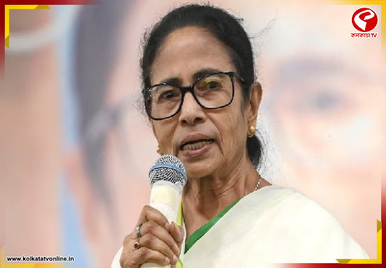 শুক্রবার কালীঘাটে বৈঠক ডাকলেন মমতা, ভোটে ভরাডুবির পর ঘুরে দাঁড়ানোর ডাক দেবেন?