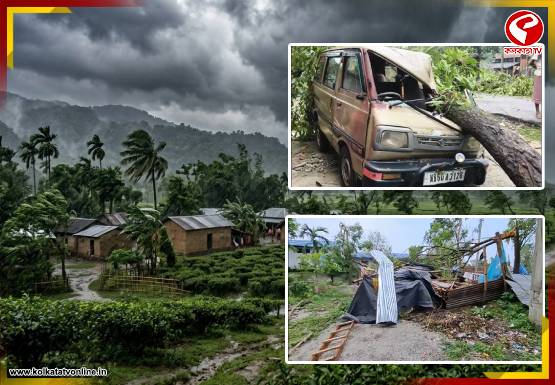 কালবৈশাখীর তাণ্ডবে উপড়ে পড়ল গাছ! বিদ্যুৎ বিচ্ছিন্ন ডুয়ার্সে এখন কী অবস্থা? দেখুন বড় খবর