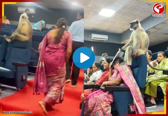 সরকারি ওয়ার্কশপে বাঁদরের বাঁদরামি! ভিডিও দেখলে হেসে গড়াগড়ি খাবেন আপনিও