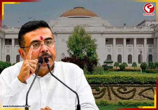জুনেই বিজেপি সরকারের রাজ্য বাজেট! বঙ্গবাসীকে কী কী উপহার দেবেন শুভেন্দু অধিকারী?