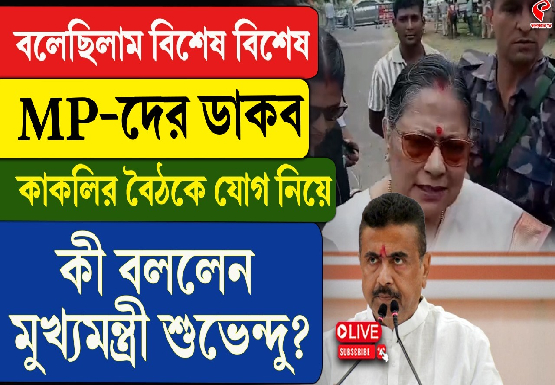 বলেছিলাম বিশেষ বিশেষ MP-কে ডাকা হবে, কাকলির বৈঠকে যোগ নিয়ে কী বললেন মুখ্যমন্ত্রী?