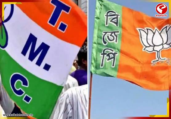 তাহেরপুরে তৃণমূল-বিজেপি সংঘর্ষ! এলাকায় মোতায়েন কেন্দ্রীয় বাহিনী