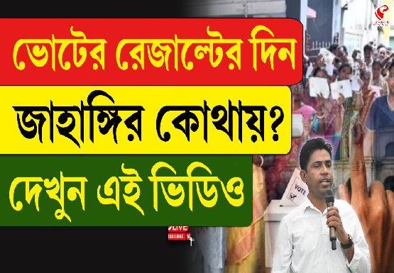 ‘পুষ্পা’হীন ফলতা বিধানসভায় পুনর্নির্বাচনের গণনা, ফাঁকা মাঠে গোল বিজেপির