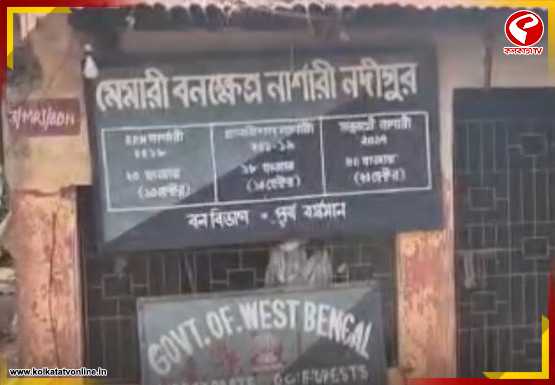 ভুয়ো জব কার্ড থেকে নদী সংস্কারে কাটমানি! কোটি টাকার দুর্নীতির অভিযোগে তোলপাড় কাটোয়ার করুই পঞ্চায়েত