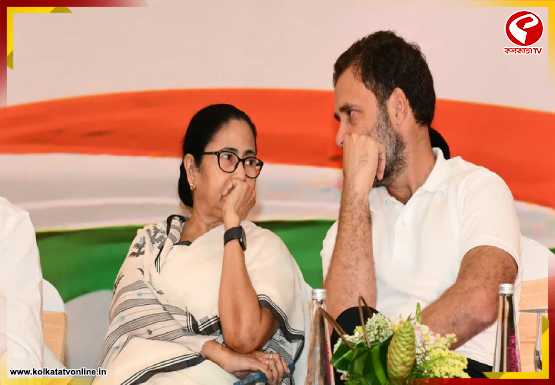 ‘১০০ আসনে ভোটচুরি’ অভিযোগকে কেন্দ্র করে মমতারকে ফোন রাহুলের