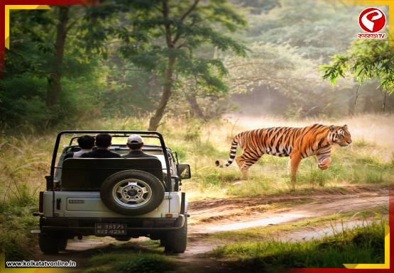 অনির্দিষ্টকালের জন্য বন্ধ হয়ে গেল জিম করবেট সাফারি