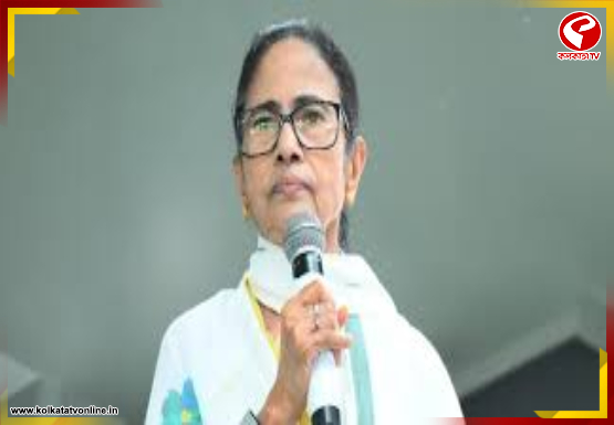 ফের ম্যারাথন বৈঠকে মমতা, তলব ৪ পুরসভার মেয়র, কাউন্সিলর, চেয়ারম্যানদের