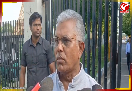 পেট্রল-ডিজেলের দাম বেড়ে যাওয়া নিয়ে কী বললেন দিলীপ ঘোষ?