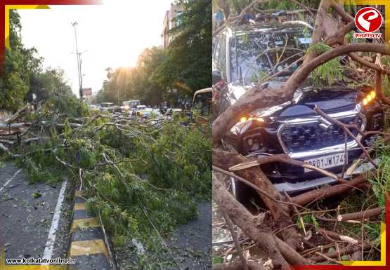 পাটনায় ঝড়ের তাণ্ডব, মৃত ৩