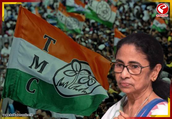 কাউন্সিলরদের বৈঠক বাতিল করল তৃণমূল! ‘ডিম হামলা’র আশঙ্কাতেই কি এই সিদ্ধান্ত?