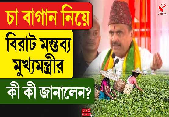 চা বাগান নিয়ে বিরাট মন্তব্য মুখ্যমন্ত্রীর! পাহাড়ে গিয়ে কী কী জানালেন শুভেন্দু অধিকারী?