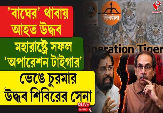 বাঘের থাবায় আহত উদ্ধব! মহারাষ্ট্রে সফল ‘অপারেশন টাইগার’! ভেঙে চুরমার উদ্ধবের শিবসেনা?