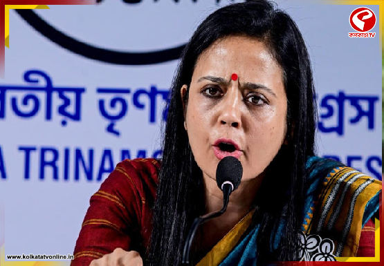 ‘ভারতের জার্সিতে খেলেছেন’, ইউসুফকে ‘লজ্জা হওয়া উচিত’ বলে তোপ মহুয়ার