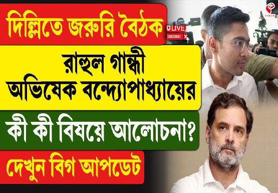 দিল্লিতে জরুরি বৈঠক রাহুল গান্ধী-অভিষেক বন্দ্যোপাধ্যায়ের