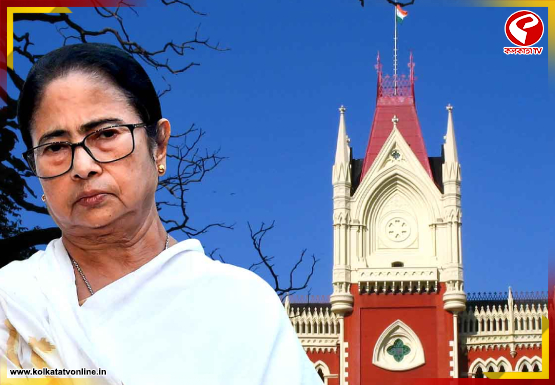 কী কারণে বন্ধ ৩ অ্যাকাউন্ট? প্রশ্ন তুলে হাইকোর্টে ‘কালীঘাট তৃণমূল’