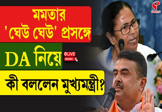 মমতার ‘ঘেউ ঘেউ’ প্রসঙ্গে DA নিয়ে কী বললেন মুখ্যমন্ত্রী?