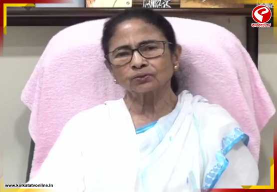 ২৭ দিনেও জনতার রায় মানতে নারাজ মমতা! ফের ভোট ‘রিগিং’ অভিযোগে সরব তৃণমূল সুপ্রিমো