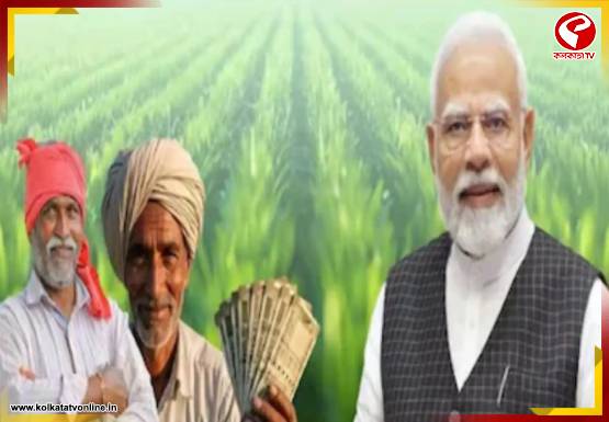 ফসল নষ্ট হলে মিলবে আর্থিক সুরক্ষা! রাজ্যে চালু প্রধানমন্ত্রী ফসল বিমা যোজনা