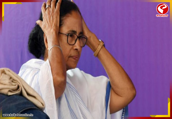 ইন্ডিয়া জোটের বৈঠকের মাঝে দল ছাড়তে পারেন তৃণমূলের একাধিক সাংসদ?