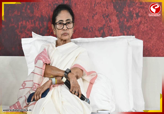 বাজেটের অন্ধ বিরোধীতা নয়, বার্তা মমতার